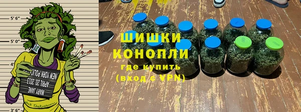дурь Арсеньев