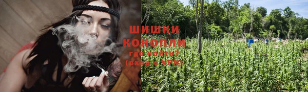стафф Армянск