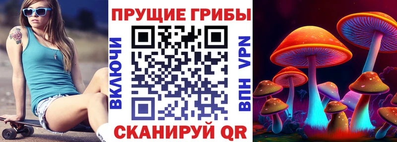 Галлюциногенные грибы мухоморы  где можно купить наркотик  Стародуб 